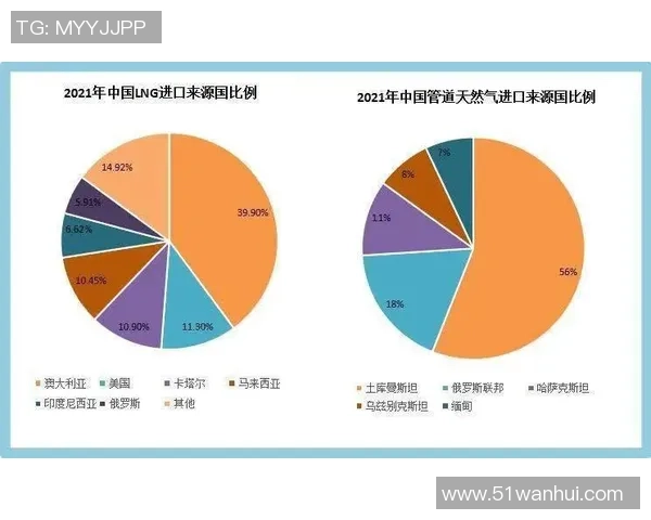 数据分析透视LNG市场的竞争力与未来发展趋势