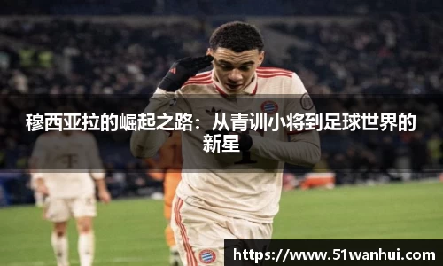 3377体育官网